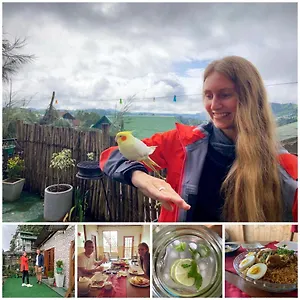 Bed & Breakfast Golden King Guest, Nuwara Eliya